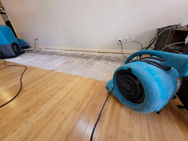 Professional Water Removal technician working in Kearny, NJ